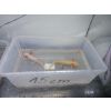 Axolotl zu verkaufen 