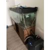 450 Liter Aquarium mit 3x Axolotl