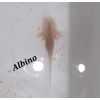 Axolotl-Babys Weißling Albino Goldalbino Wildling