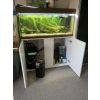 Aquarium mit Axolotl und komplett Zubehör 